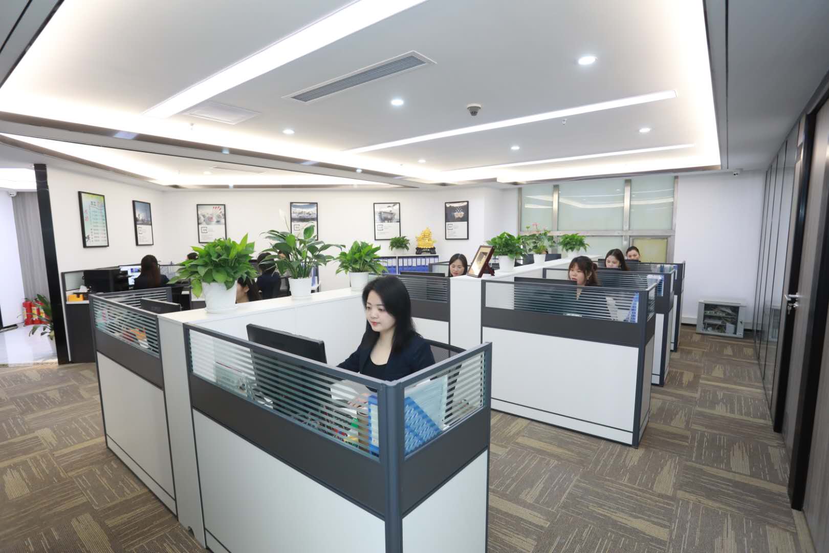 VIC国际离岸公司（瓦努阿图公司）