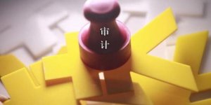 有关香港公司做账审计的名词解释